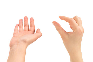 Hand of woman isolated on white