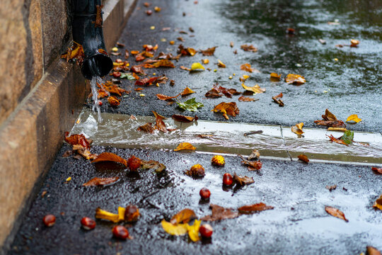 Autumn leaves on the sidewalk and water from the gutter