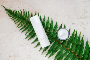 Tube of cosmetic lotion and cream jar on fern leaf, white background. Natural organic cosmetics....