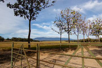 moutain and fence