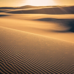 Fototapeta na wymiar Ripples and patterns back lit in the sand dunes at sunset