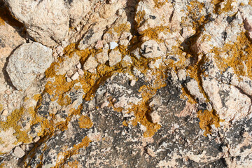 Moosiger rötlich grauer Fels, Detail