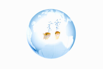 地球儀の中のメダカ