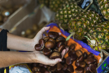  white woman hands holding chestnuts