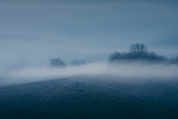 dark fog on hill landscape, twilight scenery with trees in mist