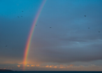 The end of a rainbow as the sunsets over the sea and a flurry of birds fly across the cloudy sky. Copy space available