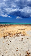 Obraz premium Strand, Mallorca 2