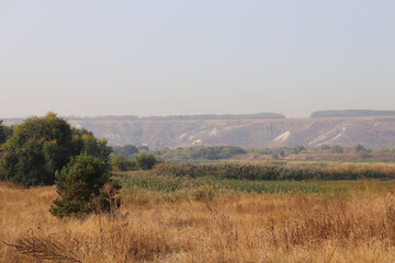 Obraz premium autumn landscape