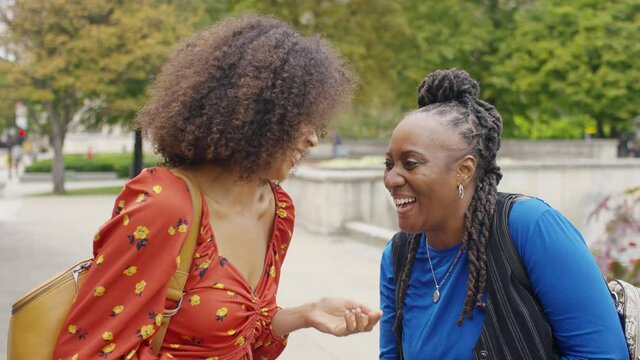 Portrait of two diverse black women talking and laughing before turning to camera and smiling
