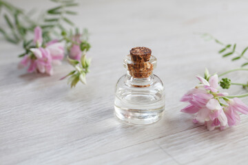 Coronilla varia essential oil (extract, infusion, remedy) glass bottle with fresh Coronilla varia flowers on wooden background, selective focus