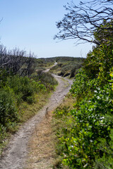 Winding dirt walking trail through, Kamay Botany Bay National Park in Australia