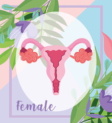 female human reproductive system, organ of the uterus with flowers