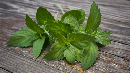 mint leaves on wooden background