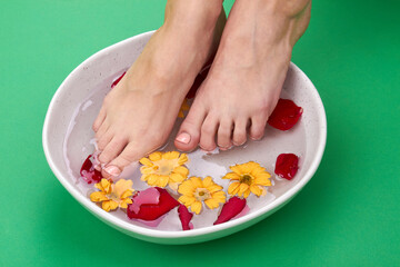 Woman's taking aroma feet bath. Close-up female feet dipping into bowl with petals. Isolated on green background.