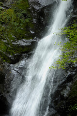 Obraz premium 11の滝