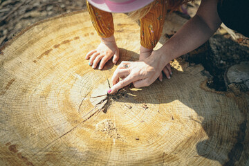 Kinder erkl&auml;ren Baumstamm