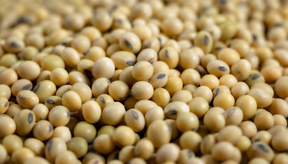 Top view Soybean pattern as for background