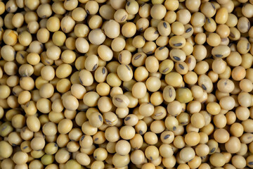 Top view Soybean pattern as for background