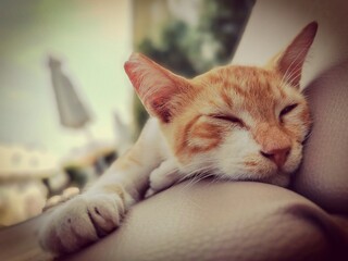lazy days at kos