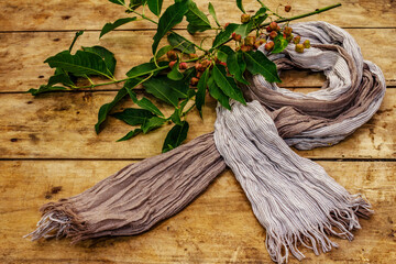 Soft scarf and a branch with berries