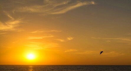 Fototapeta na wymiar Bright orange sunrise on Black Sea and shadow of bird over the horizon