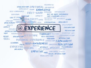 experience