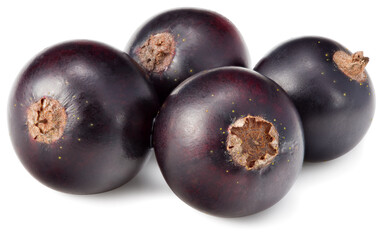 black currant isolated on white background. macro. clipping path