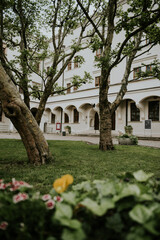 Fototapety na wymiar - Fototapeta24.pl