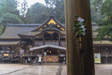 奈良 大神神社 雨の境内