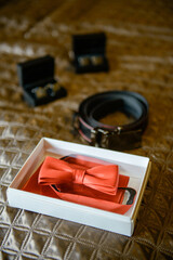 Groom's wedding accessories. Bow tie, suit, cufflinks, belt and shoes.