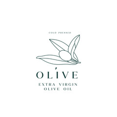 Vector illustration olive branch - simple linear style. Logo composition with olives and typography.
