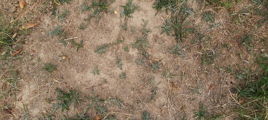 Autumn land in the steppe