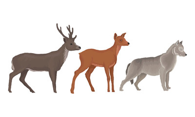 Naklejka na ściany i meble Wild Mammals Like Deer with Antlers and Wolf as Forest Habitant Vector Set