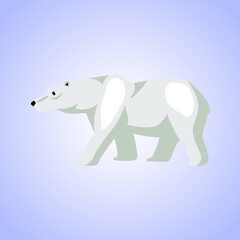 Wild animal polar bear drawing, vector illustration