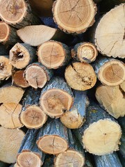 stack of firewood