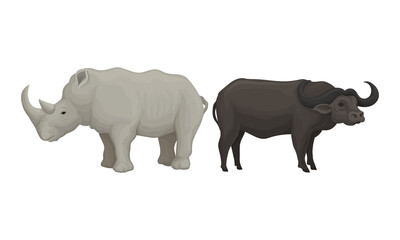 Obraz premium Huge Rhino and Buffalo as African Animal Vector Set