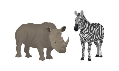 Huge Rhino and Striped Zebra as African Animal Vector Set © Happypictures
