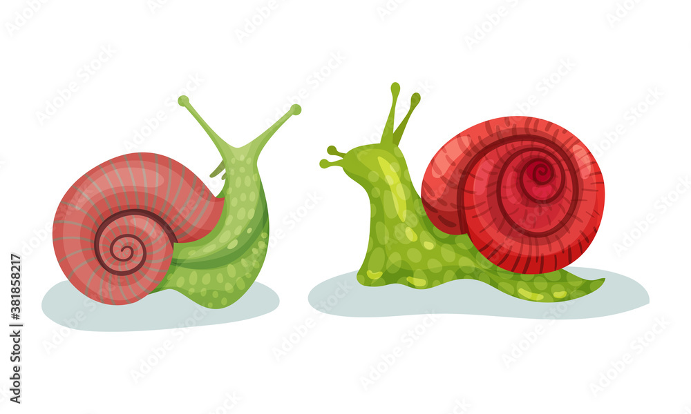 Poster crawling snails as shelled gastropod with coiled shell vector set