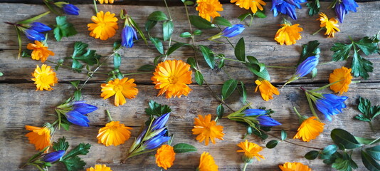 Vintage seasonal autumn background. Autumn yellow and blue flowers and leaves on a wooden background.