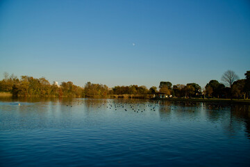 水元公園