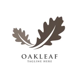 Foto op Aluminium oak leaf design logo concept © warda