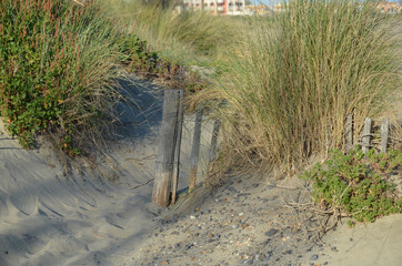 Dunes