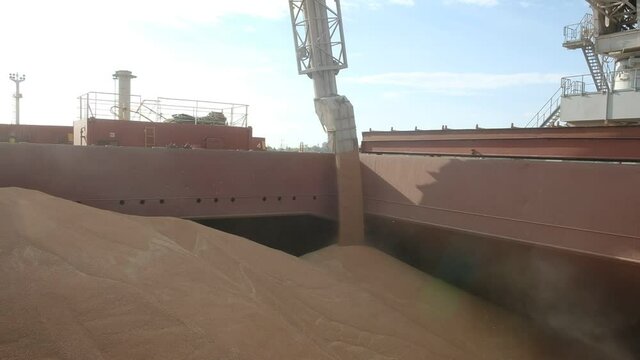 Loading of cereal in bulk into the cargo hold of cargo ship 