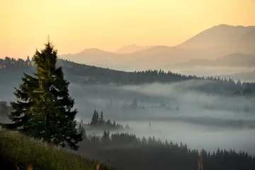 Crédence de cuisine en verre imprimé Forêt dans le brouillard Morning mountain landscape. View of green mountains and valleys in the fog. 