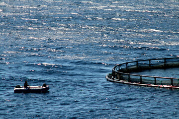 Fish farm in the Aegean Sea