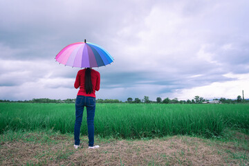 Asian beautiful woman holding multicolored umbrella in rice field in cloudy day.