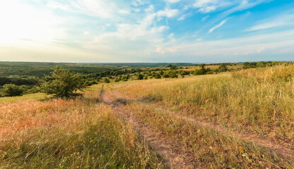 Obraz premium A large green field with trees in the background. the road that goes into the distance