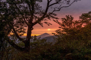 Fototapeta premium 夕暮れの大山富士見台より富士山を望む