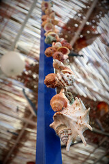 Mediterranean culture, a hanging shell chain, garland decorative in a fish restaurant, nice background