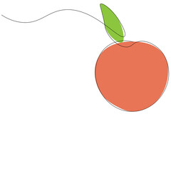 Orange fruit citrus drawing. Vector illustration